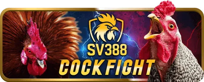 Trò chơi Đá Gà vuabet88